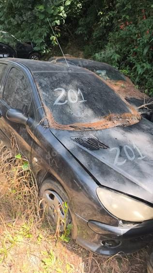 Peugeot em leilao em Campos do Jordão/SP