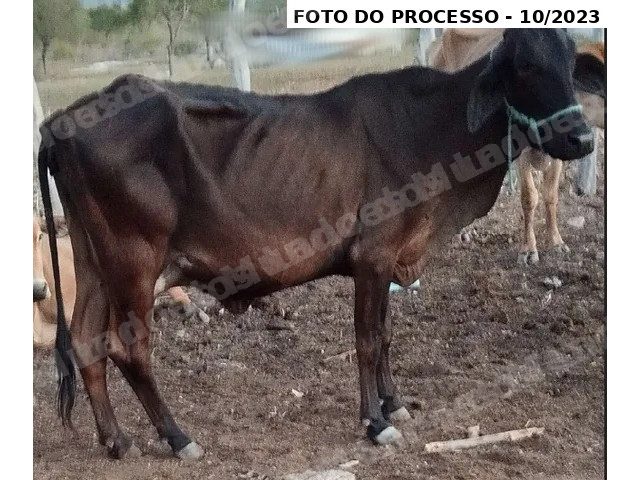 Imovel rural em leilao em Iati/PE