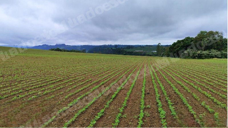 Imovel em leilao em Brasil