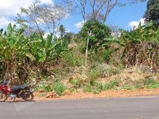 Terreno em leilao em Sítio Novo/MA
