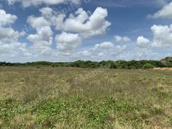 Terreno em leilao em Cabo de Santo Agostinho/PE