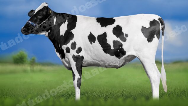 Lote em leilao em Igaratinga/MG - Lote 27