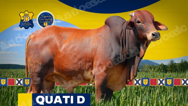 Lote em leilao em Brasil