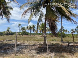 Terreno em leilao em Dajuda/SE