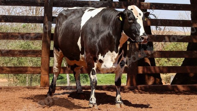 Lote em leilao em Cristalina/GO