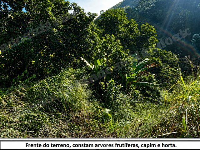 Terreno em leilao em Paraibuna/SP