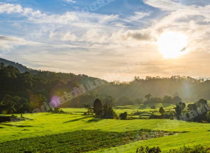 Terreno em leilao em Leandro Ferreira/MG