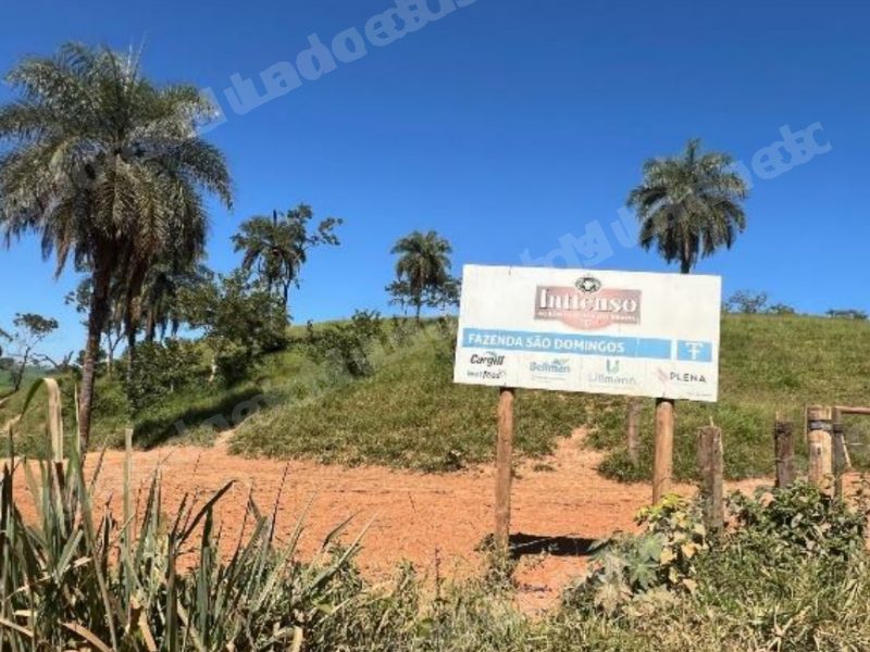 Terreno em leilao em Luz E Mutum/MG