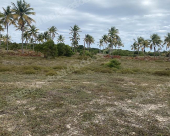 Terreno de 325 m2 em leilao em Itaporanga D'ajuda/SE