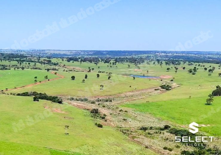 Terreno em leilao em Três Lagoas/MS