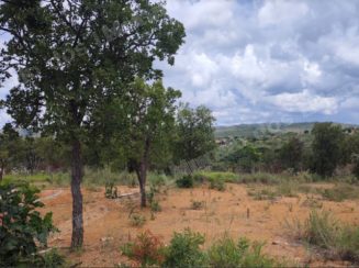 Terreno em leilão em Caetanópolis/MG - Lote 141