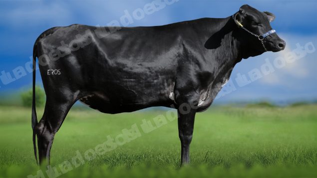 Lote em leilao em Igaratinga/MG - Lote 28