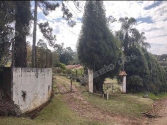 Imovel rural em leilao em Roque/SP