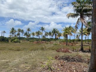 Terreno em leilão em Itaporanga d'Ajuda/SE - Lote 407