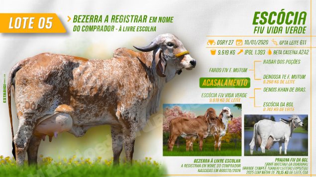 Lote em leilão em Jales/SP - Lote 25