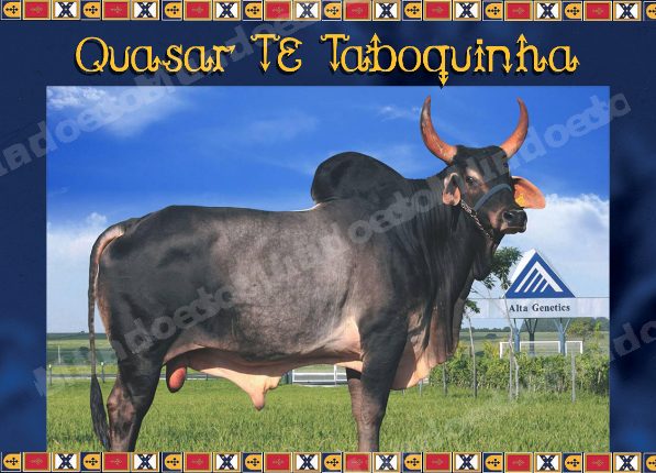 Lote em leilao em Brasil