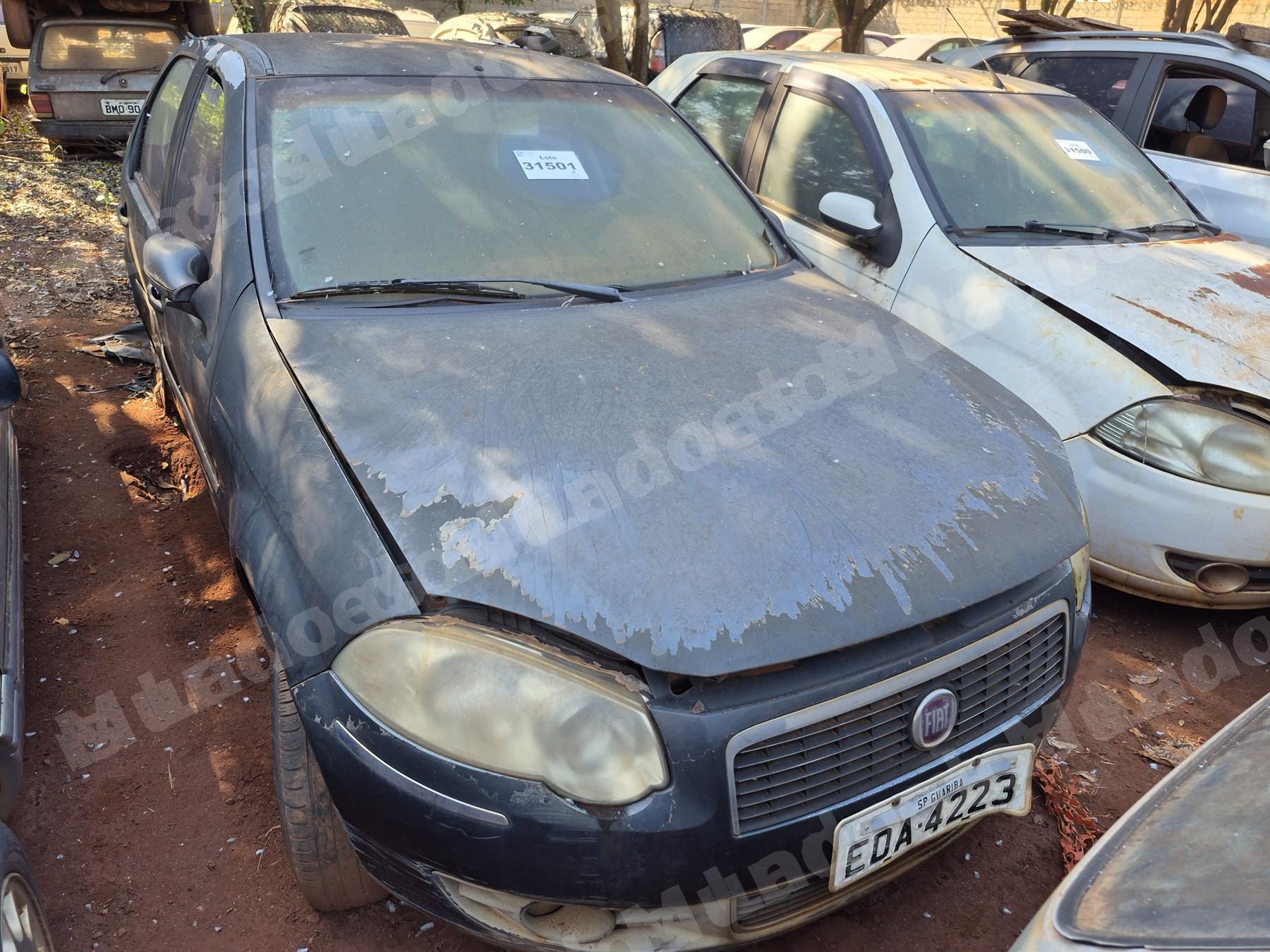 Fiat em leilao em Brasil