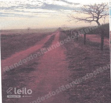 Imovel rural em leilao em Quirinopolis/GO