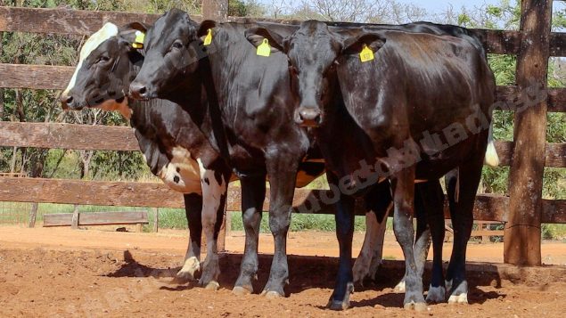 Lote em leilao em Cristalina/GO