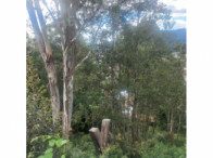 Terreno de 387 m2 em leilao em Poços de Caldas/MG