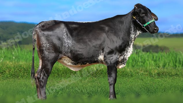 Lote em leilao em Estrela do Indaiá/MG - Lote 14