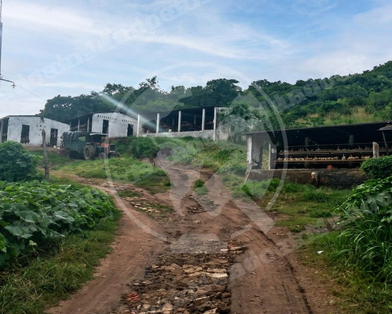 Terreno em leilao em Pilõezinhos/PB