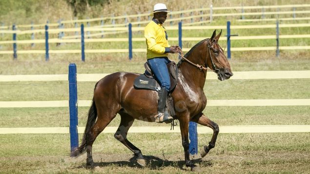 Lote em leilão em Brasil - Lote 374