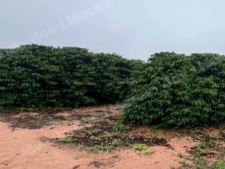 Imovel rural em leilao em Zona Rural Garça/SP