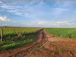 Terreno em leilão em Júlio/MT - Lote 2