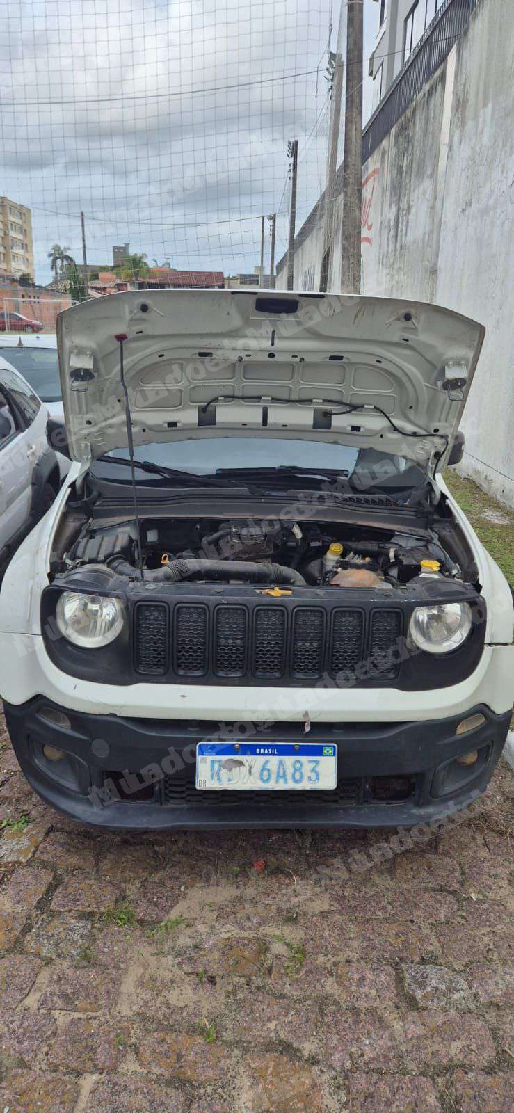 Jeep 2020 em leilao em Brasil - Lote 2