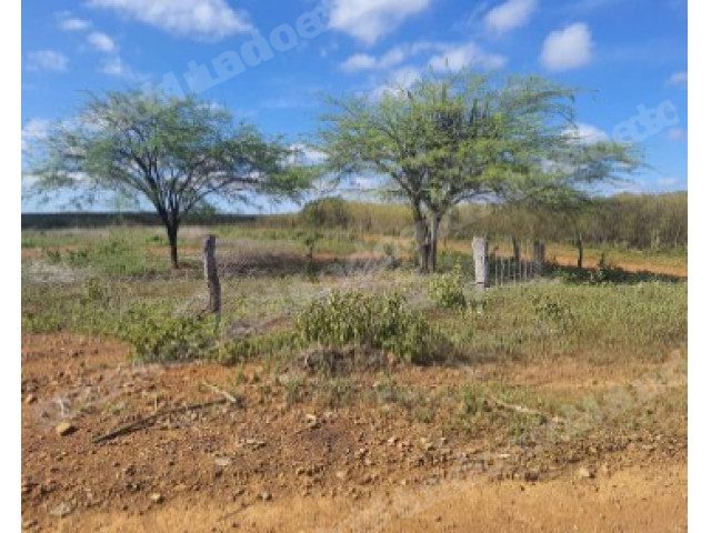 Terreno em leilao em Dormentes/PE