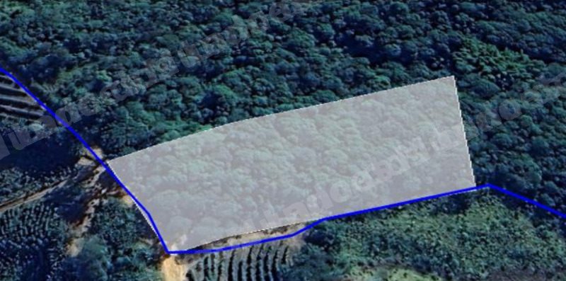 Imovel rural em leilao em Ouro Fino/MG