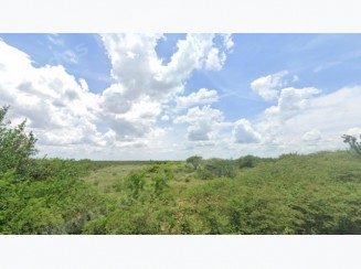 Imovel rural em leilao em Barra/BA