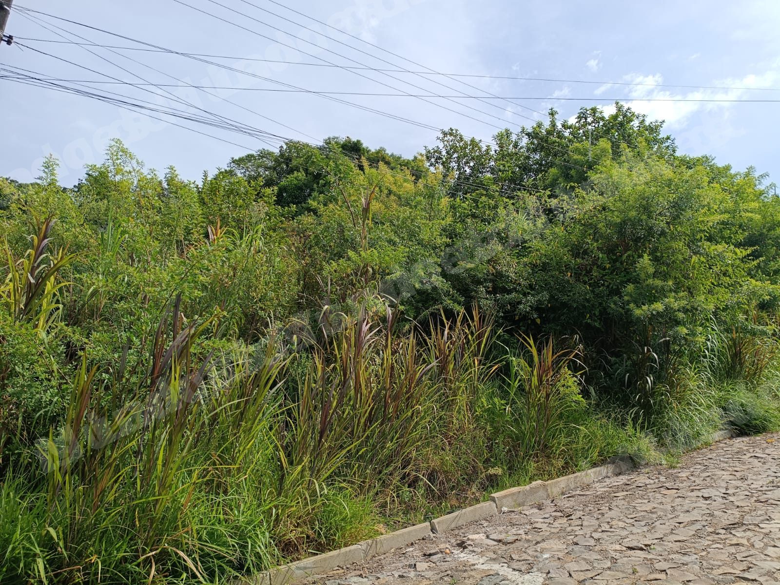 Terreno de 297 m2 em leilao em Parobé/RS