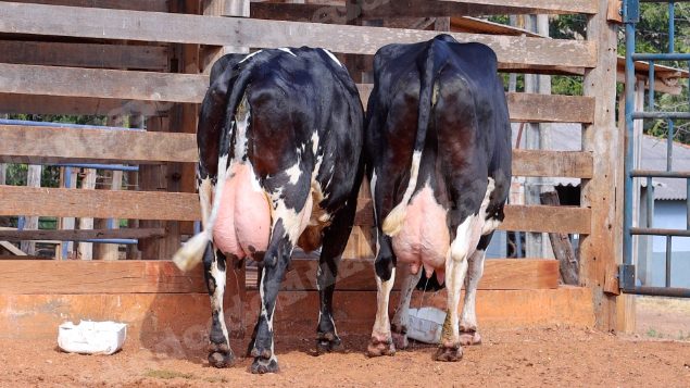 Lote em leilao em Cristalina/GO