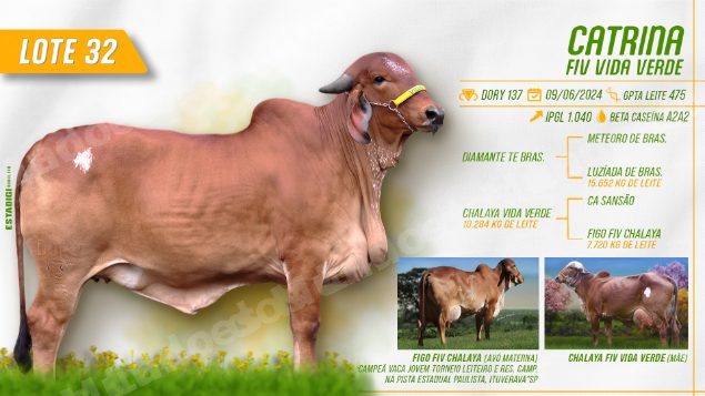 Lote em leilão em Jales/SP - Lote 27