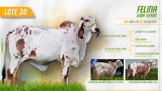 Lote em leilão em Jales/SP - Lote 28