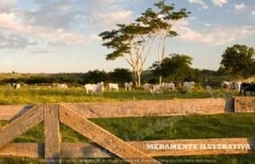 Imovel rural em leilao em Capitao Poco/PA