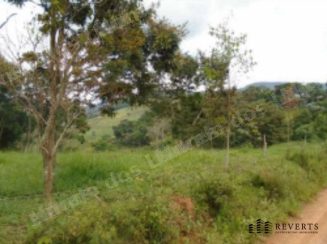 Imóvel rural em leilão em Fortes/MG