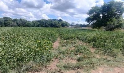 Terreno em leilao em Reserva/PR