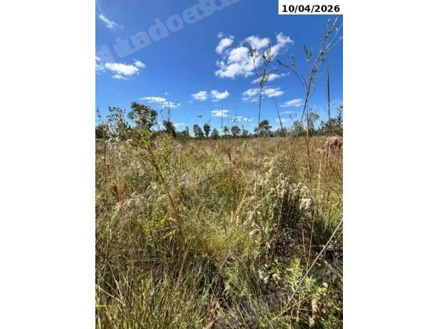 Terreno de 42429 m2 em leilão em São Borja/RS