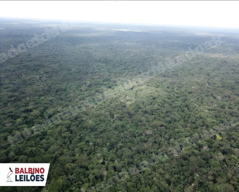Terreno em leilao em Gaúchos/MT