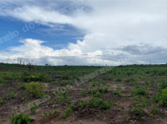 Imóvel rural em leilão em Vl. Nova dos Martírios/MA