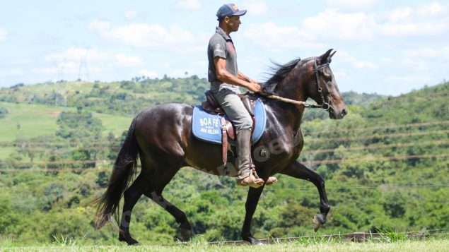 Lote em leilao em Brasil