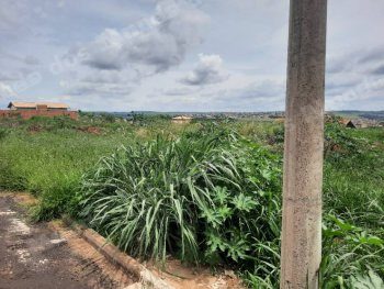 Imóvel de 500 m2 em leilão em Orlândia/SP