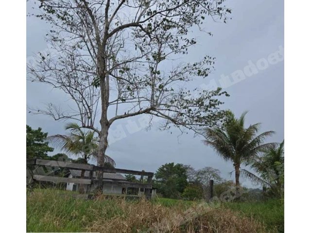 Terreno em leilao em Chupinguaia/RO
