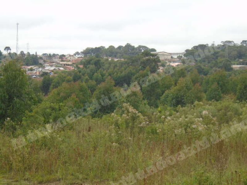 Lote em leilao em Mafra/SC