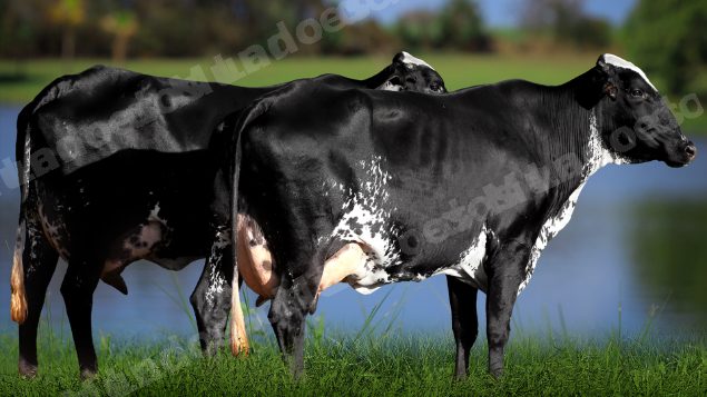 Lote em leilao em Água Comprida/MG - Lote 17