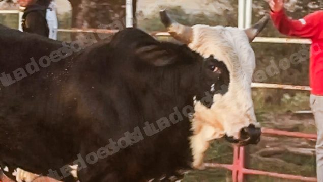 Lote em leilao em Sabino/SP
