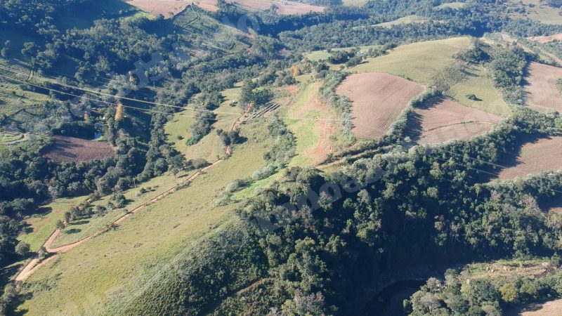 Terreno em leilao em Barra do Rio Azul/RS